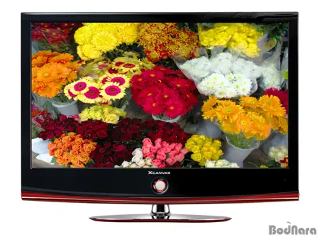 OLED65G4KWX.AKRG